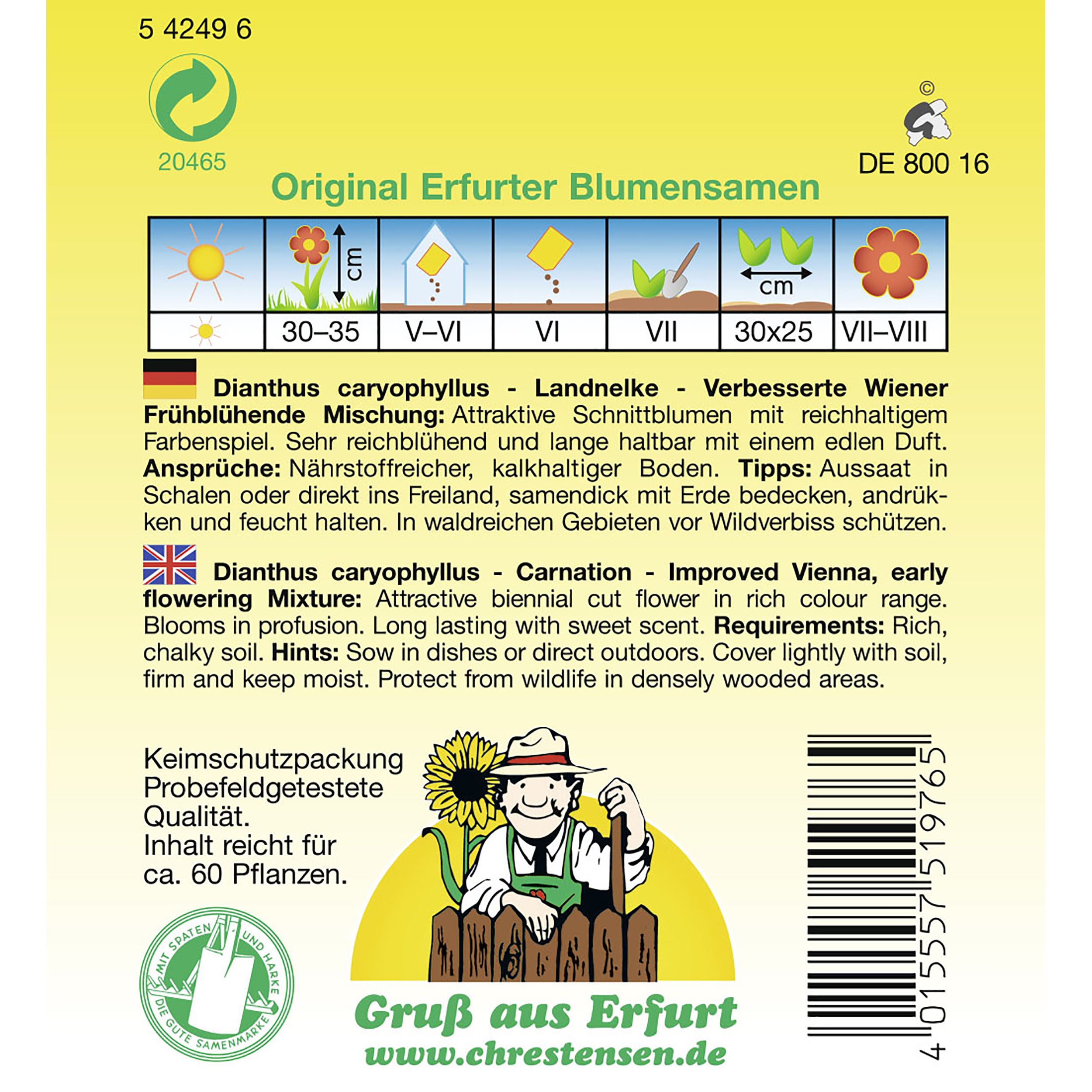 Dianthus, Gefüllte Landnelken, Verbesserte Wiener Frühblühende Mischung