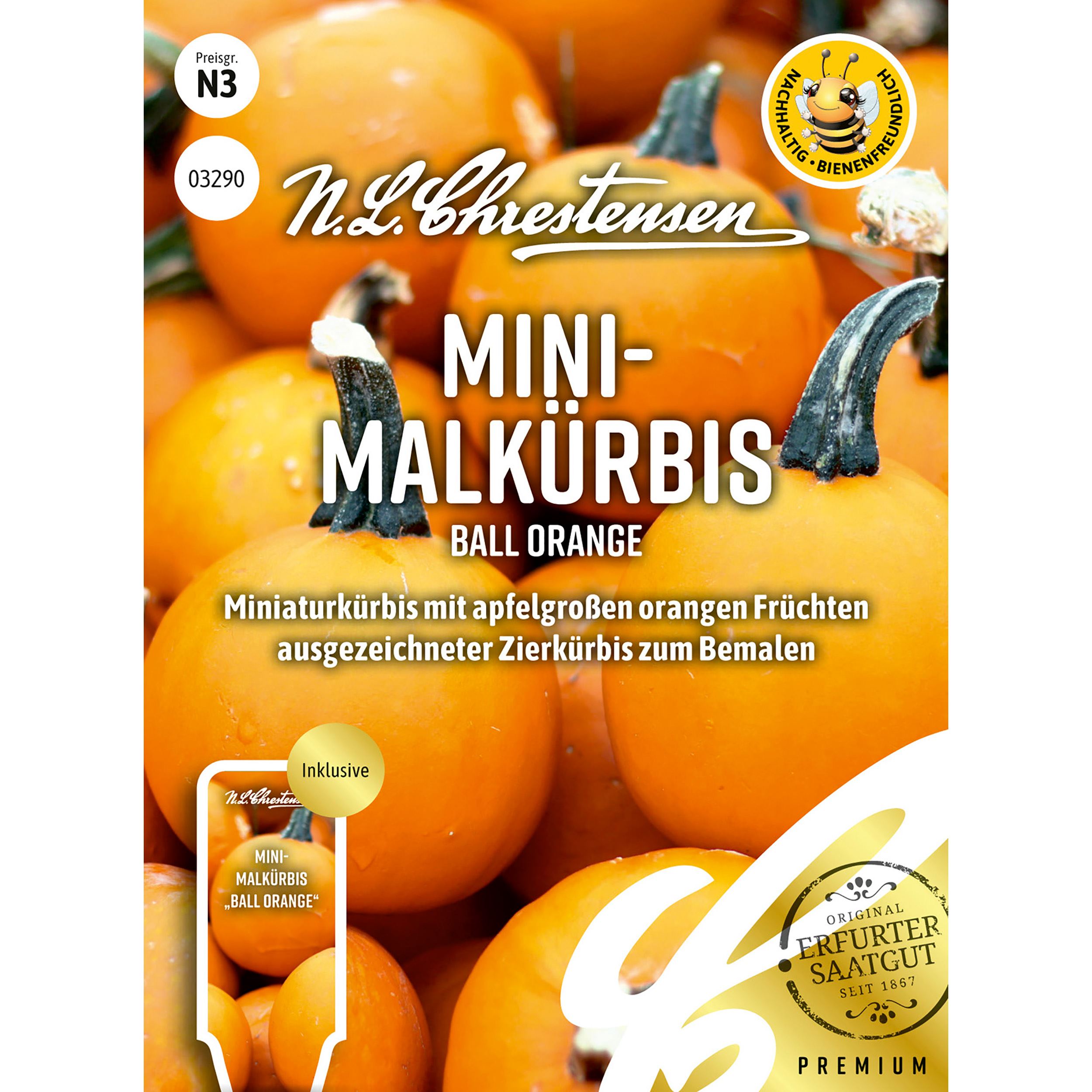 Mini-
Malkürbis Ball Orange