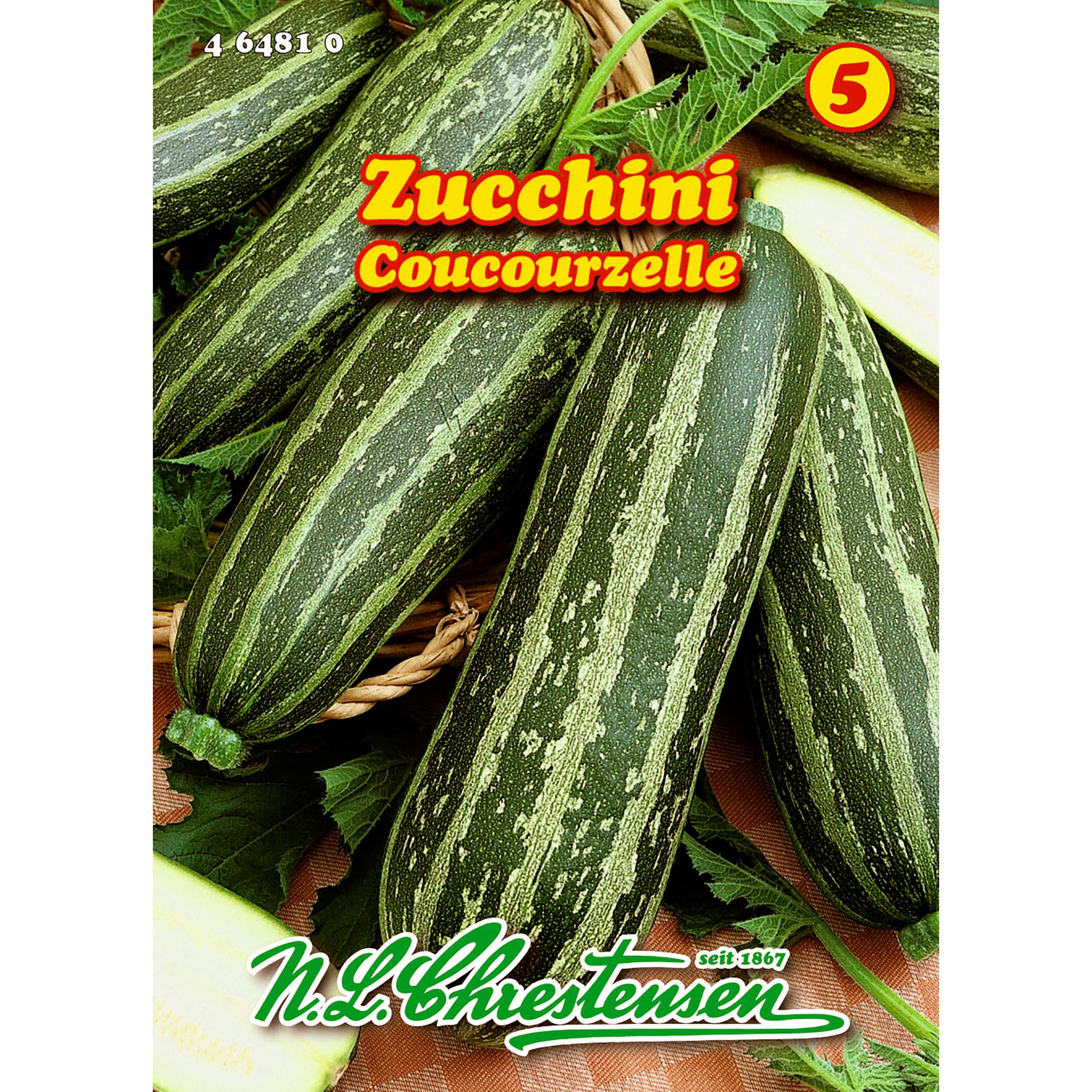 Zucchini, Cocozelle v. Tripolis