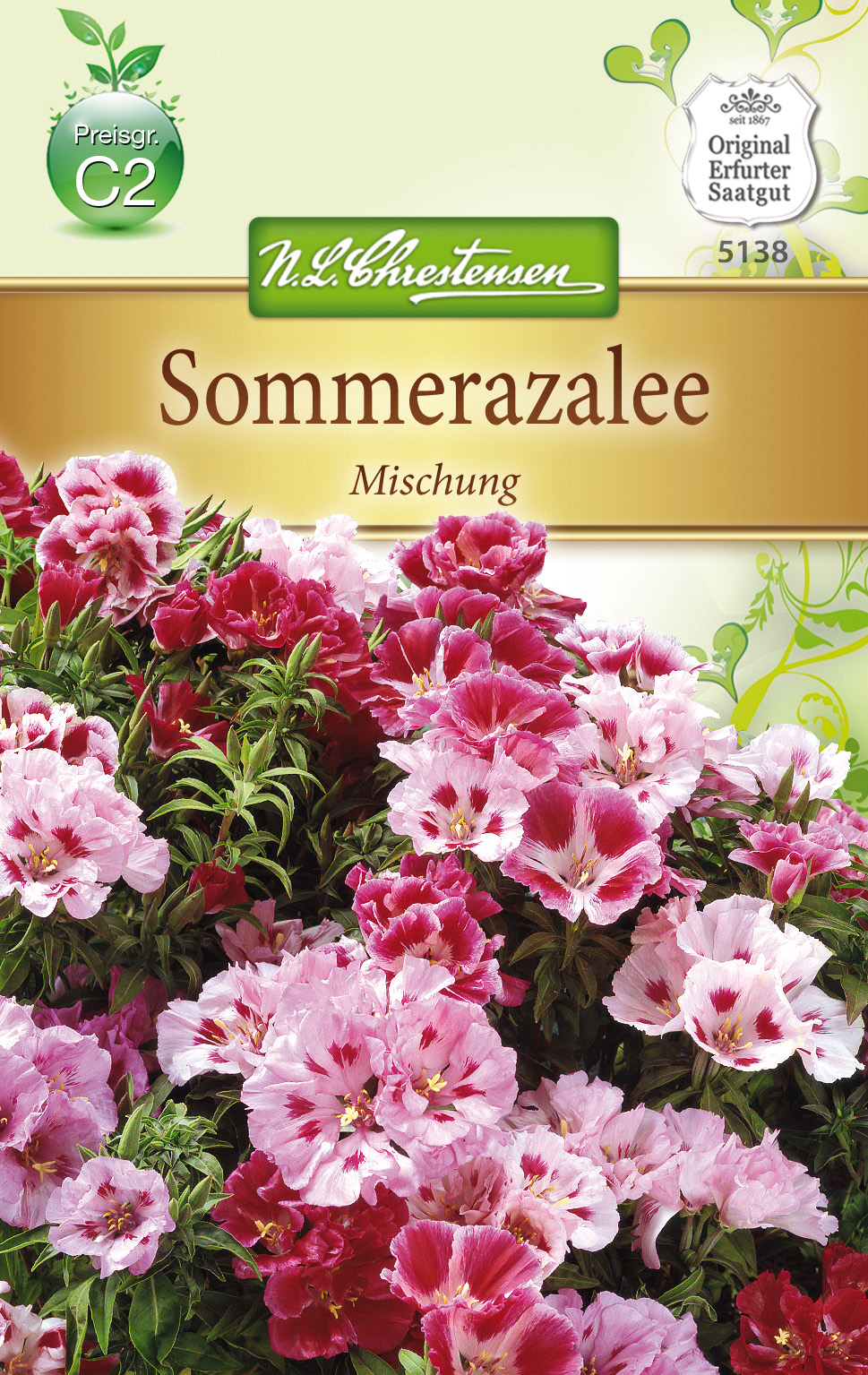 Sommerazalee - Godetia Mischung