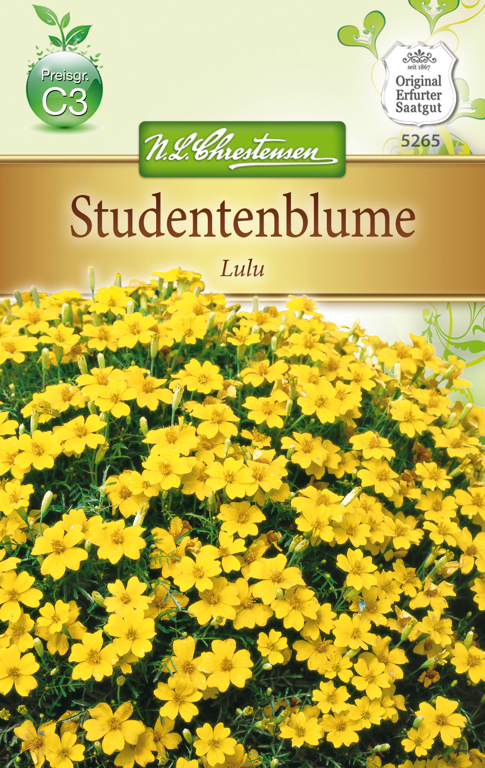 Tagetes tenuifolia Studentenblume - Lulu, kleinblütig, hellgelb