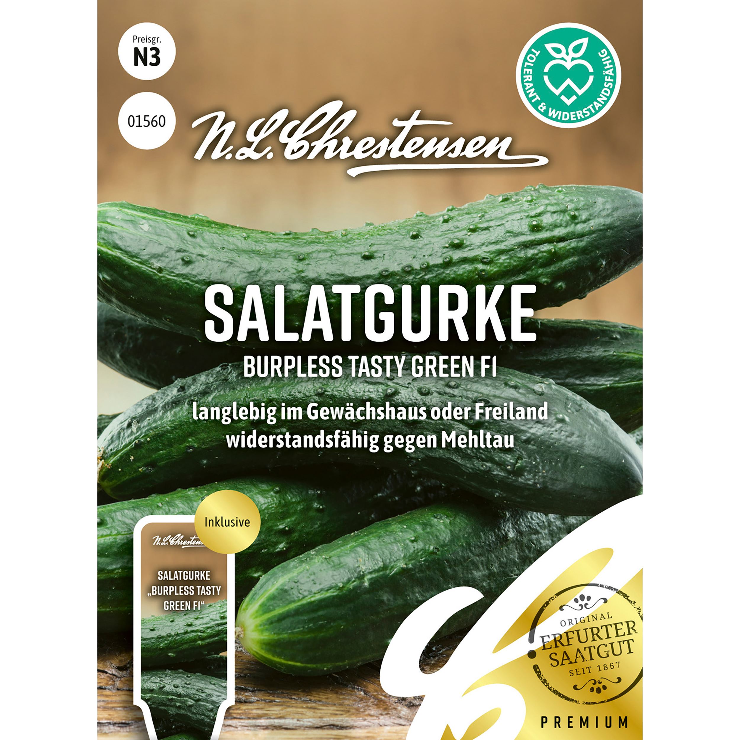 Salatgurke Burpless Tasty Green F1