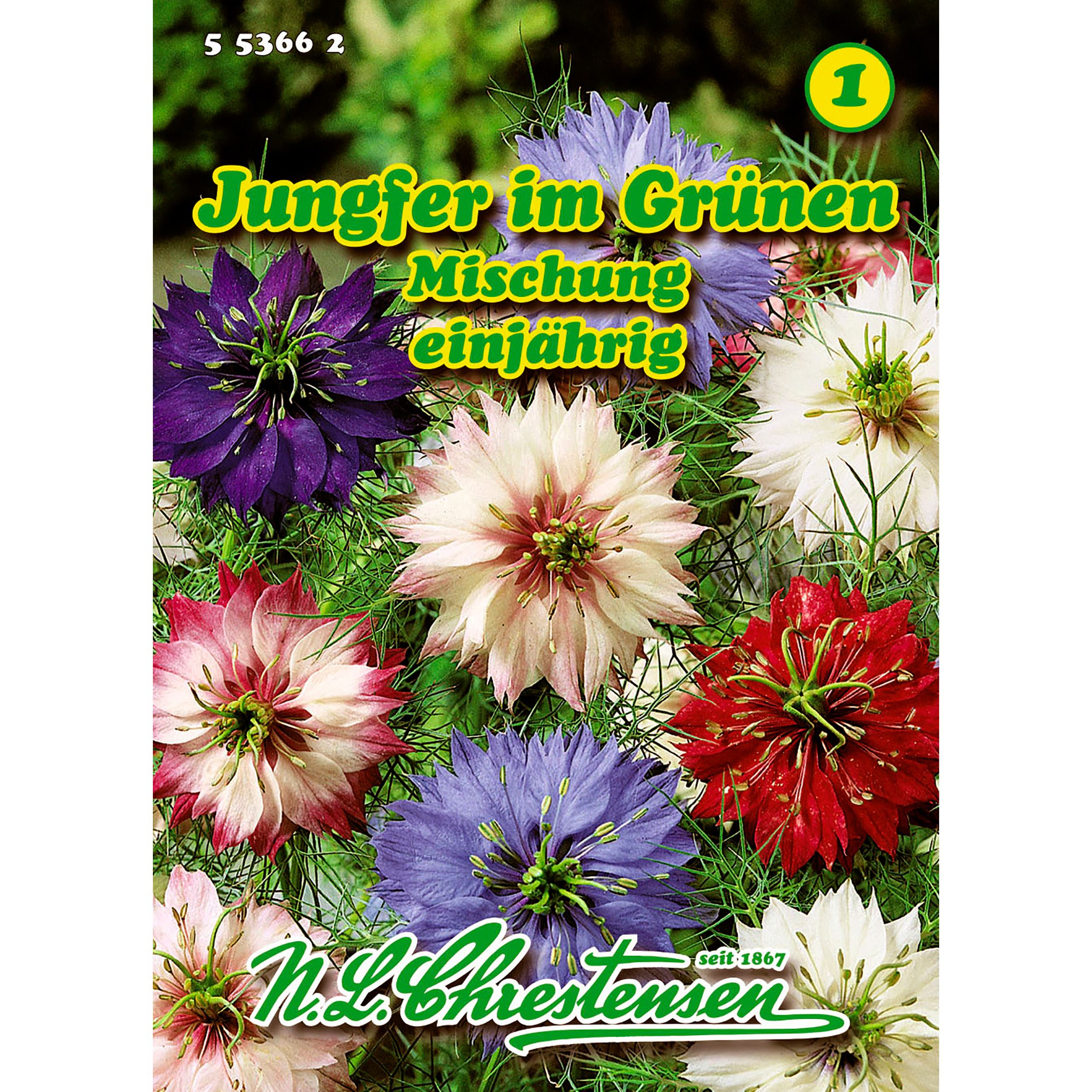 Nigella, Jungfer im Grünen, Mischung für ca. 120 Pflanzen