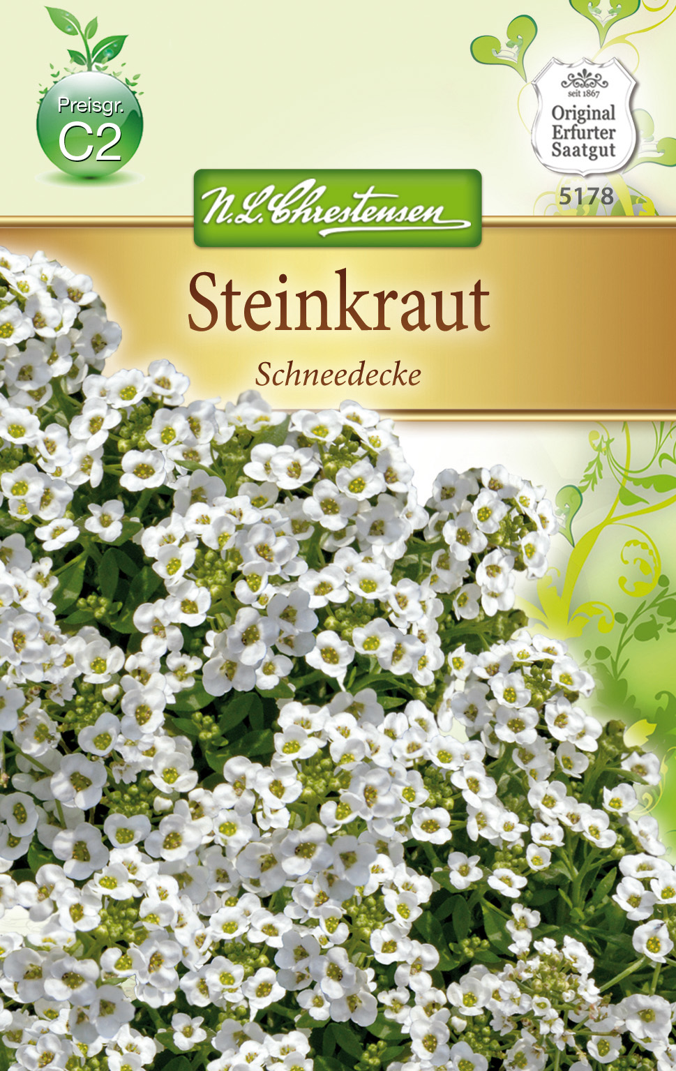Lobularia Steinkraut Alyssum, Schneedecke, weiß