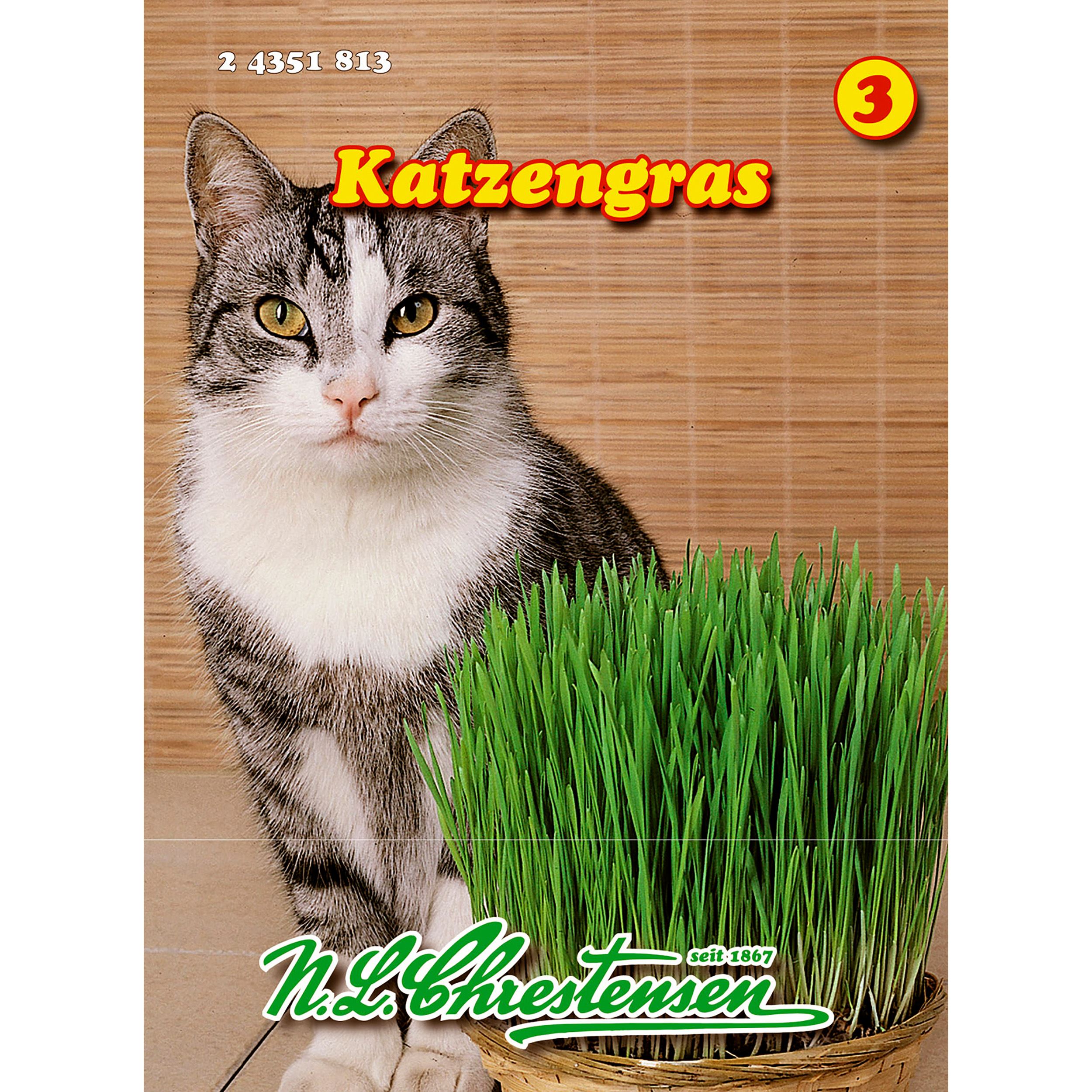 Katzengras 40 g