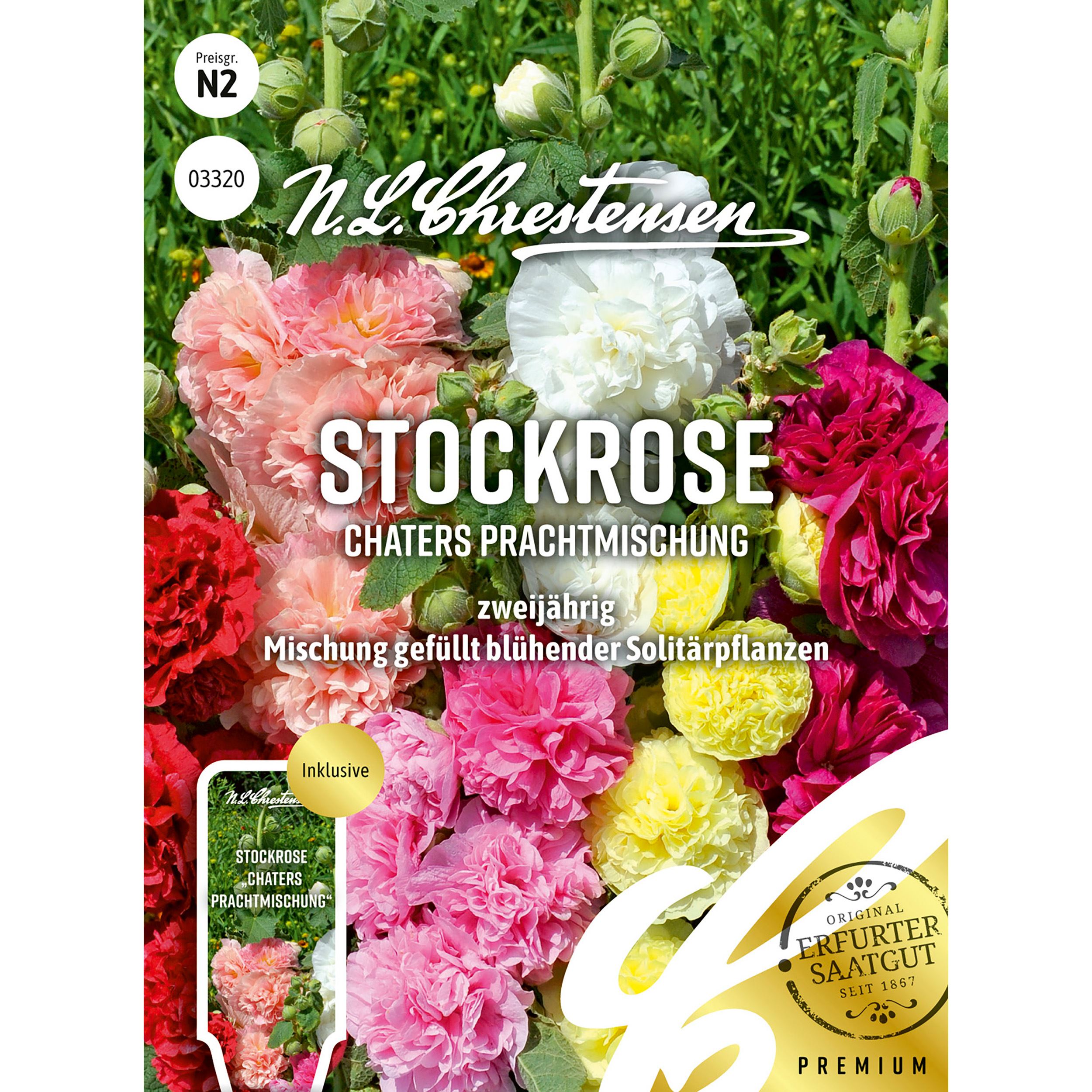 Stockrose Chaters Prachtmischung