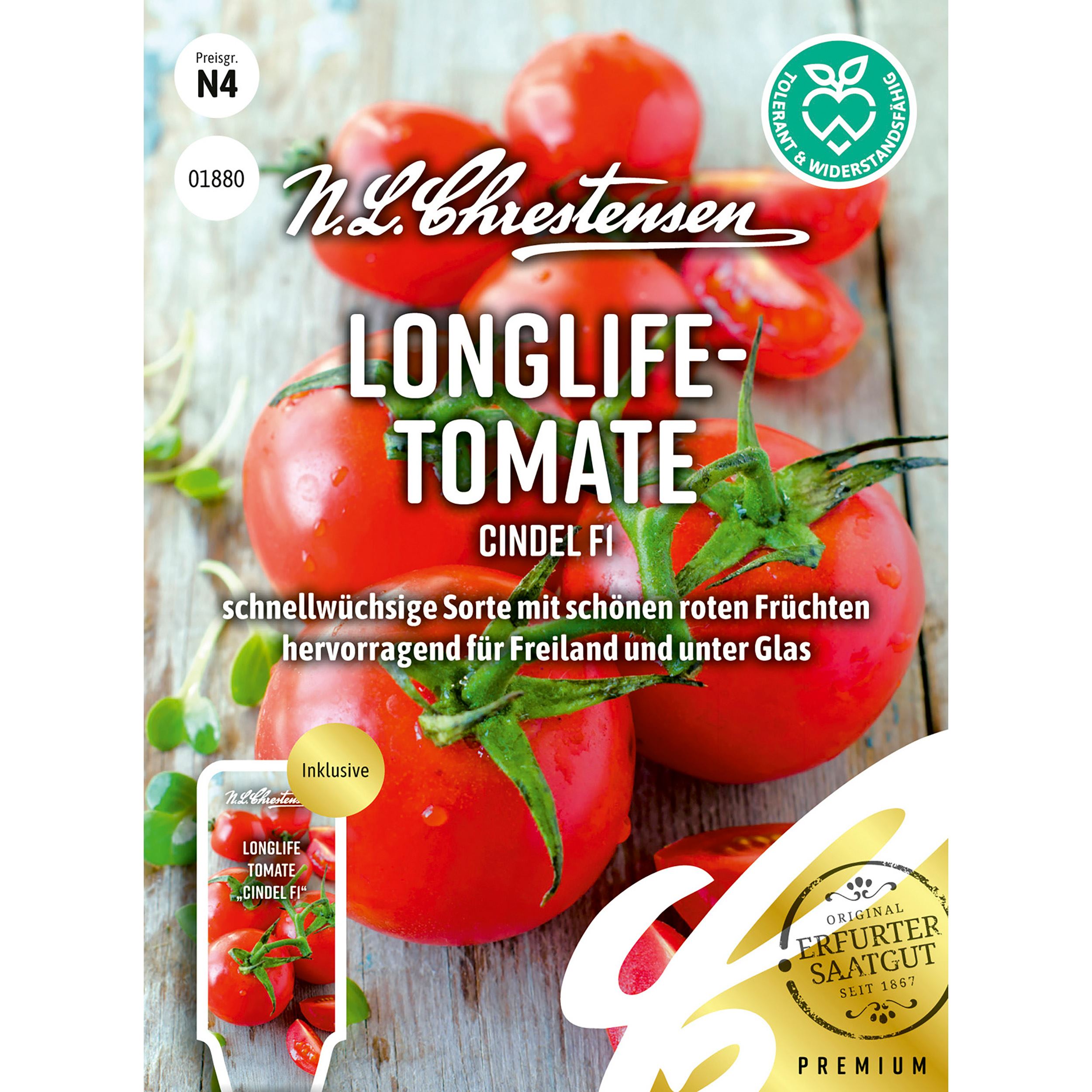 Longlife-
Tomate Cindel F1