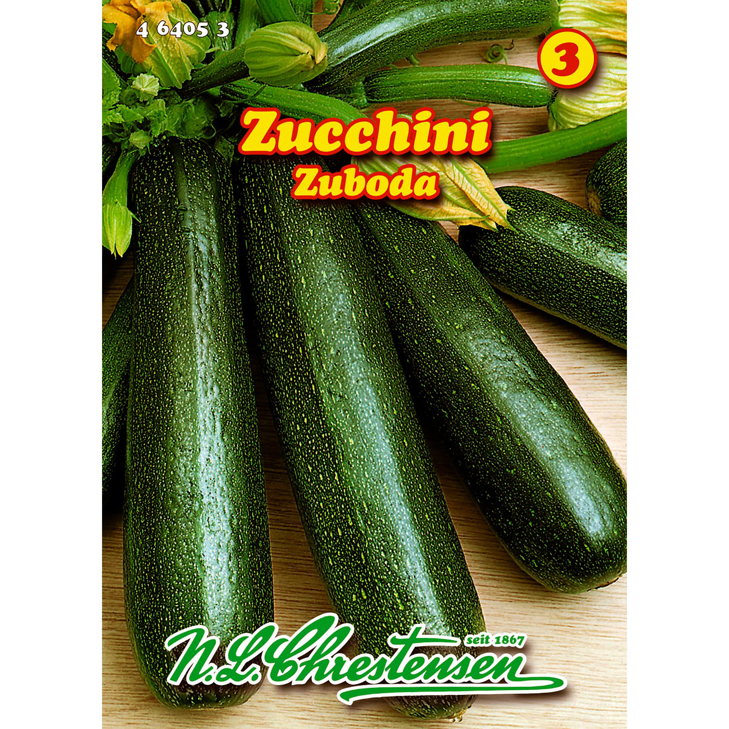 Zucchini, Zuboda für etwa 5 Pflanzen