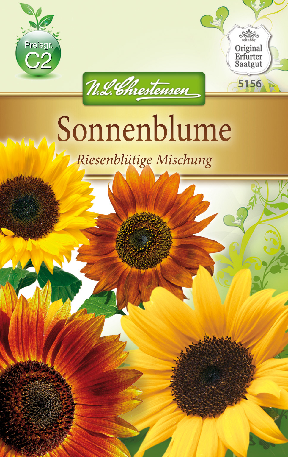 Helianthus Sonnenblume, riesenblütig, Mischung