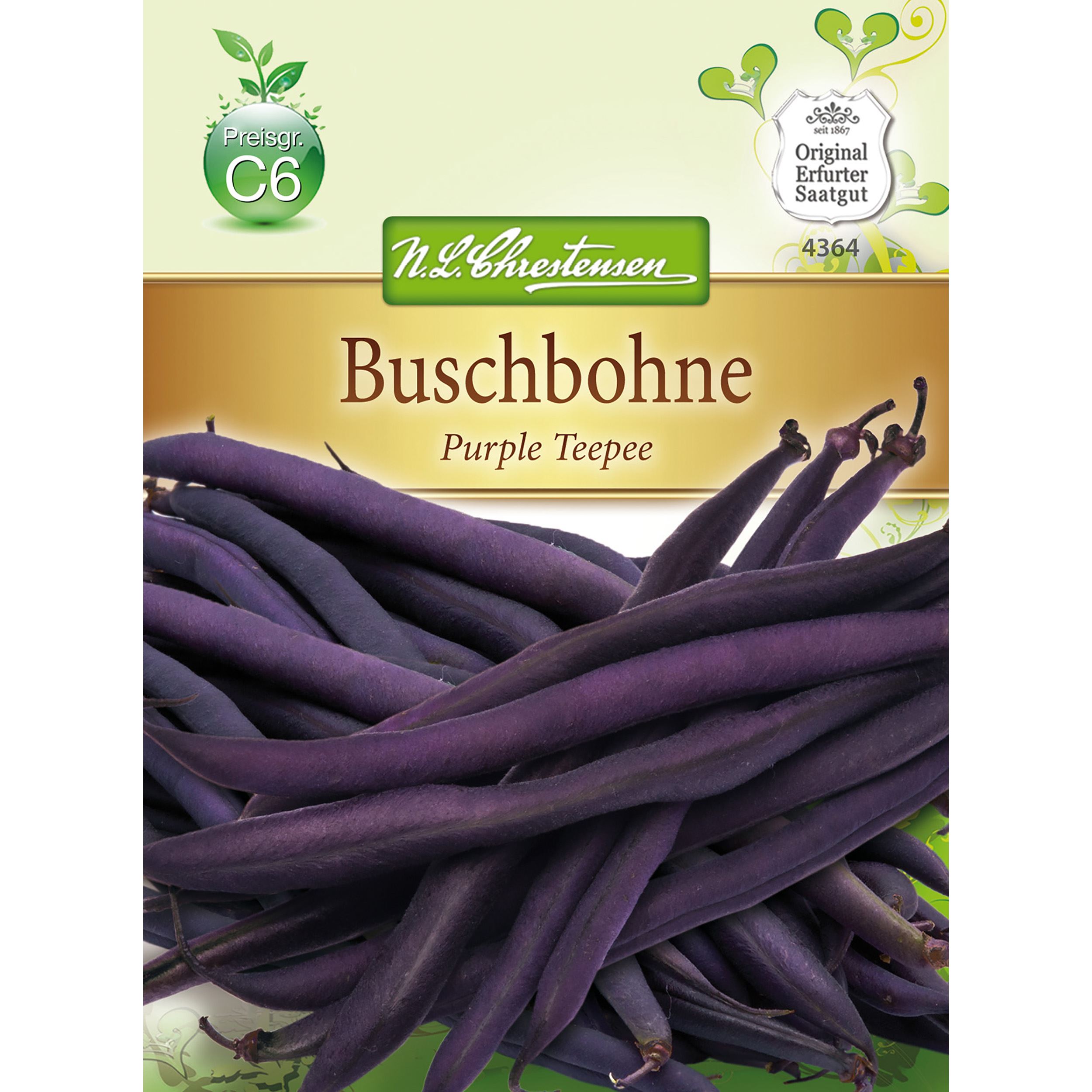 Buschbohnen Purple Teepee, Gluckentyp