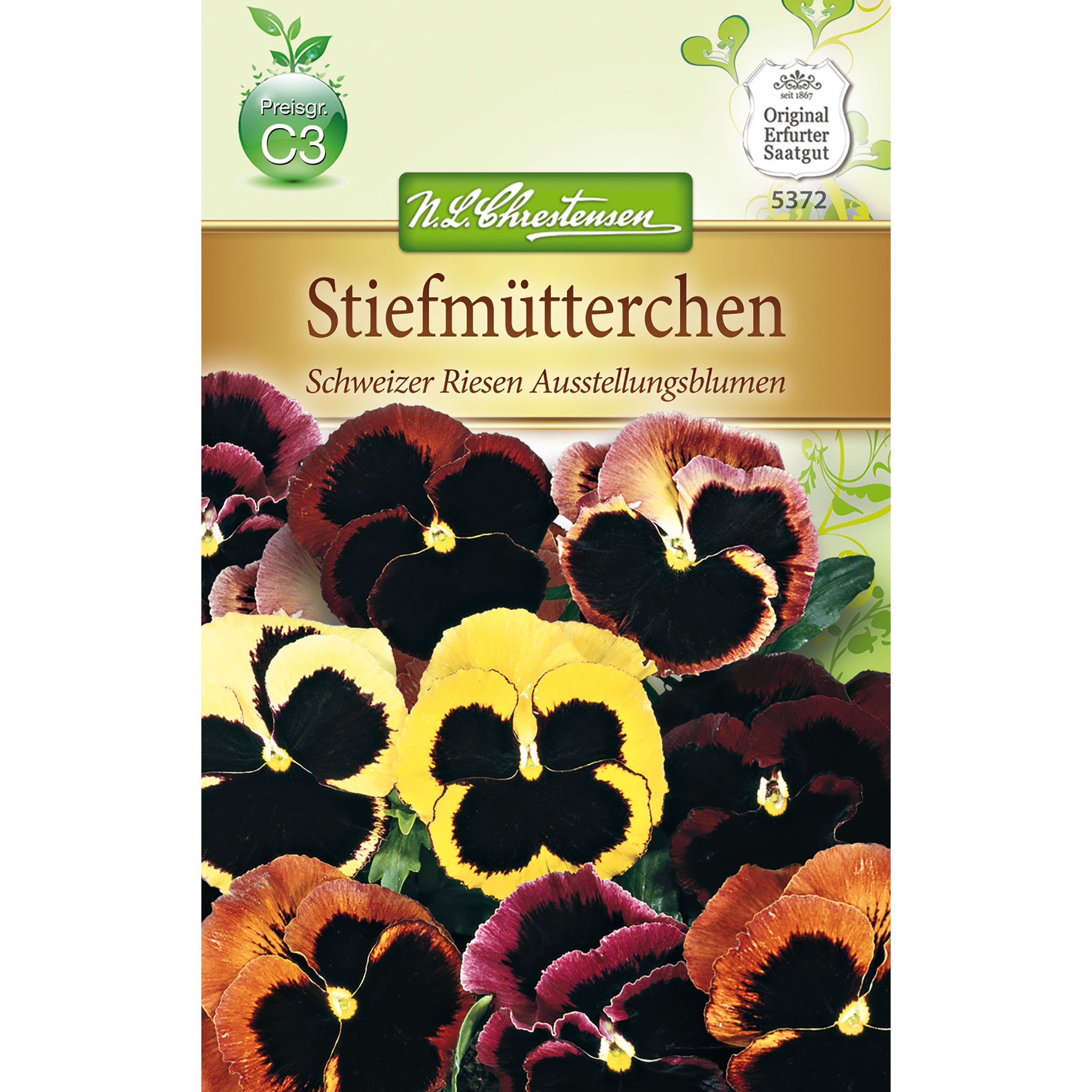 Viola wittrockiana Ausstellungsblumen (Schweiser Riesenmischung)