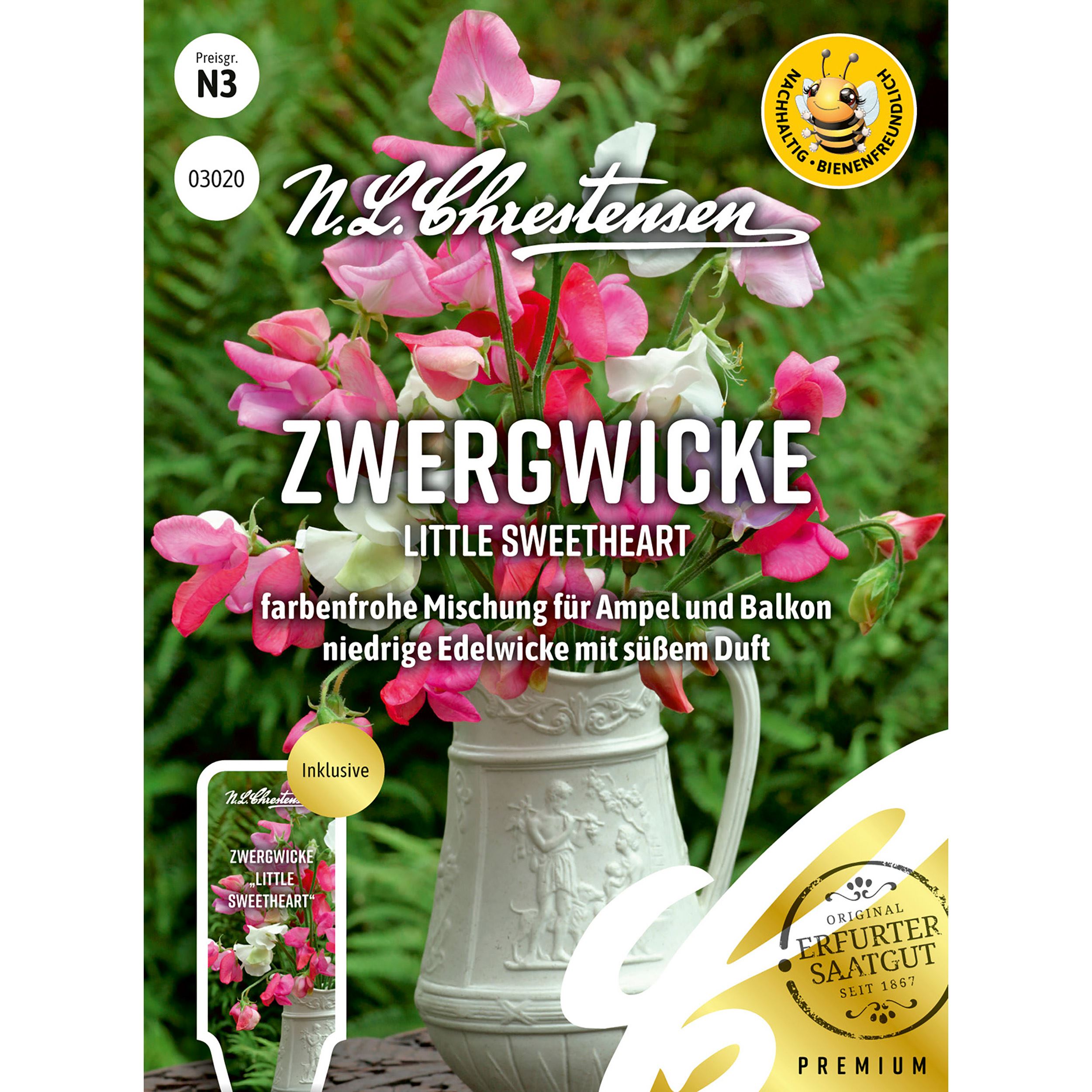 Zwergwicke Little Sweetheart